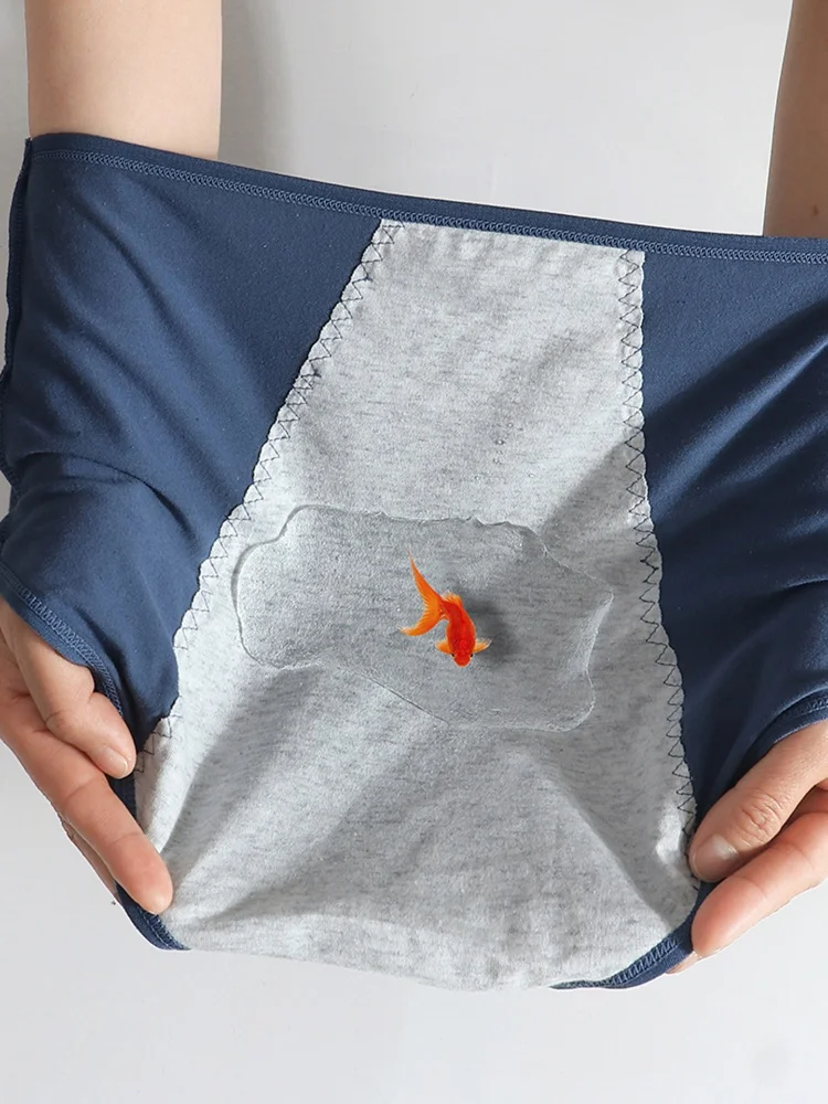 Menstrual Panties For Women Co – Period Panty Absorbent Bewertung und Preis